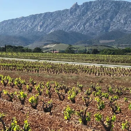 Domaine Mas Terra Bed and breakfast 3*