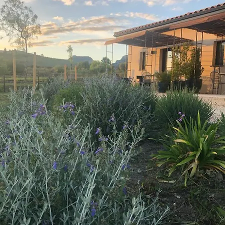 Bed & Breakfast Domaine Mas Terra