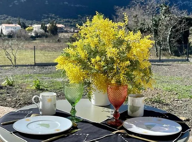 Domaine Mas Terra Frühstückspension Saint-Paul-de-Fenouillet