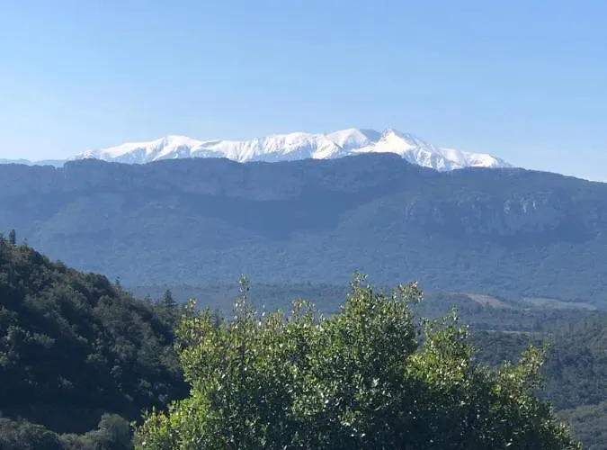 Frühstückspension Domaine Mas Terra 3*