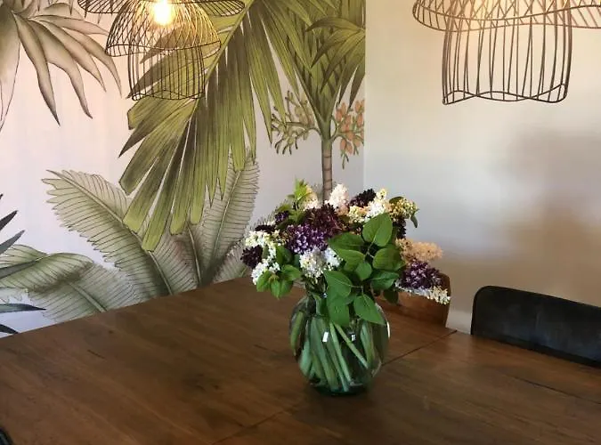 Domaine Mas Terra Frühstückspension 3*