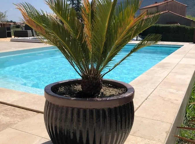 Domaine Mas Terra 3*