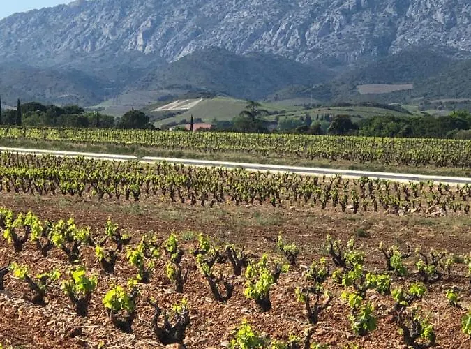 Domaine Mas Terra Frühstückspension 3*